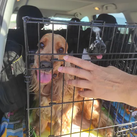 بيت ضيافة ваканционни къщи'на брега' On The Coast