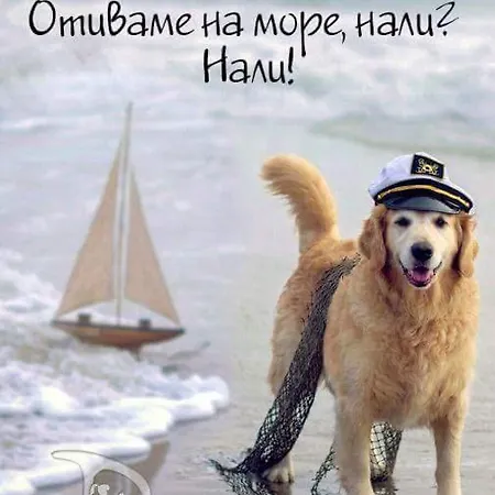 ваканционни къщи'на брега' On The Coast Къща за гости Варна