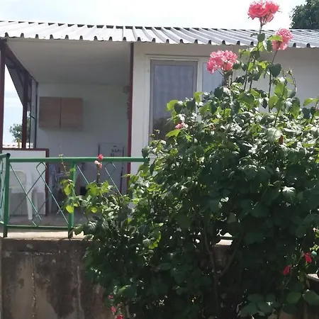 بيت ضيافة ваканционни къщи'на брега' On The Coast *