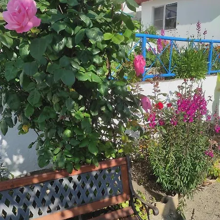 ваканционни къщи'на брега' On The Coast * Варна