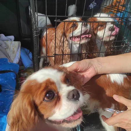 Гостевой дом ваканционни къщи'на брега' On The Coast *