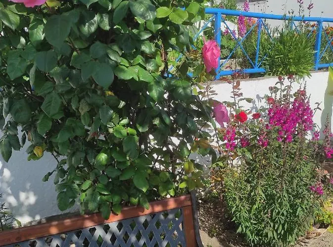 ваканционни къщи'на брега' On The Coast * Βάρνα