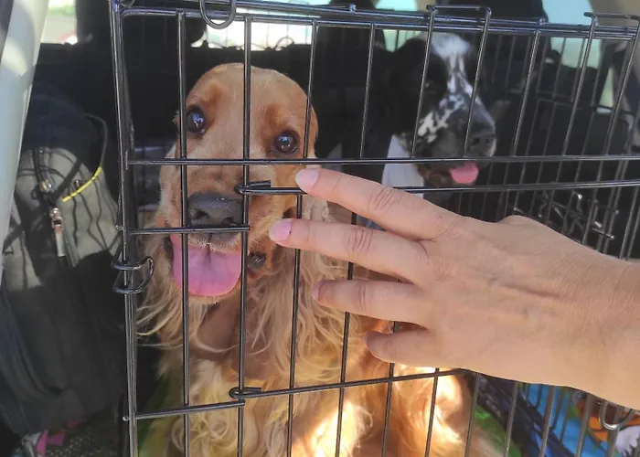 Πανσιόν ваканционни къщи'на брега' On The Coast