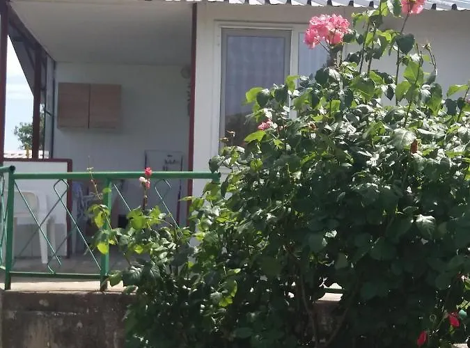 Πανσιόν ваканционни къщи'на брега' On The Coast *